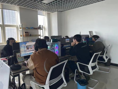 金鳳區精準服務套餐 為青年勇闖新賽道鋪路搭橋